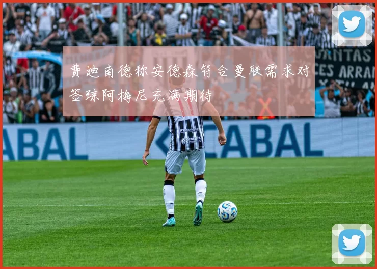 费迪南德称安德森符合曼联需求对签琼阿梅尼充满期待