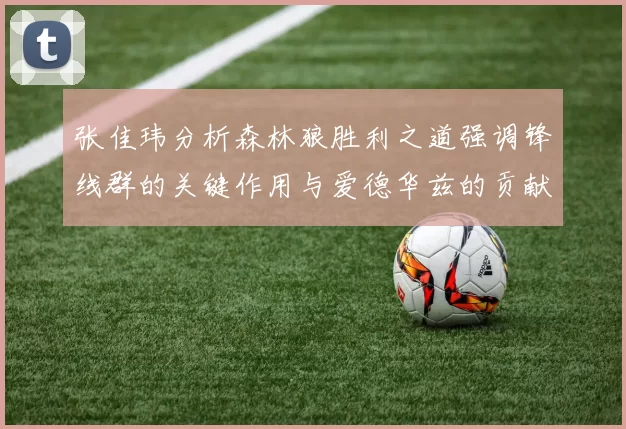 张佳玮分析森林狼胜利之道强调锋线群的关键作用与爱德华兹的贡献
